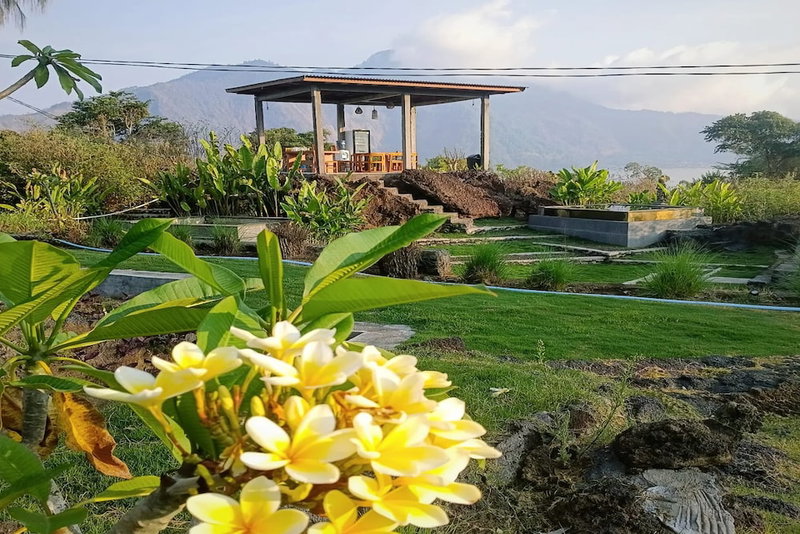 Onion Garden And Natural Hotspring, Kintamani, Indonesia