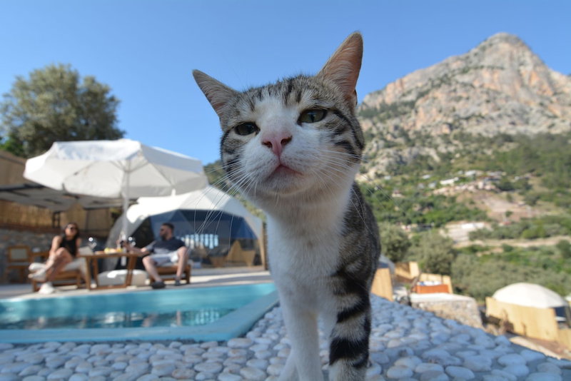 Kabak Freedom Deluxe Hotel, Fethiye, Turkey