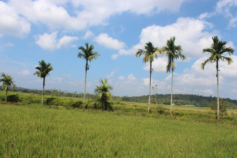 Wayal Wayanad Heritage villa, Panamaram, India