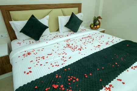 The Heartland Business Hotel, Trivandrum, India