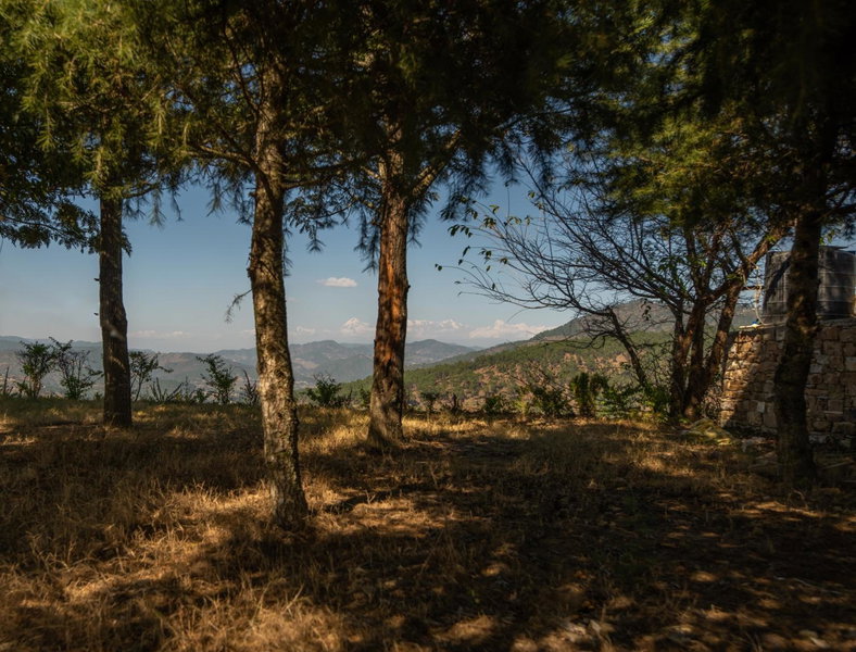 BluSalzz Homes - The Himalayan Bungalow, Almora - Uttarakhand, Almora, India