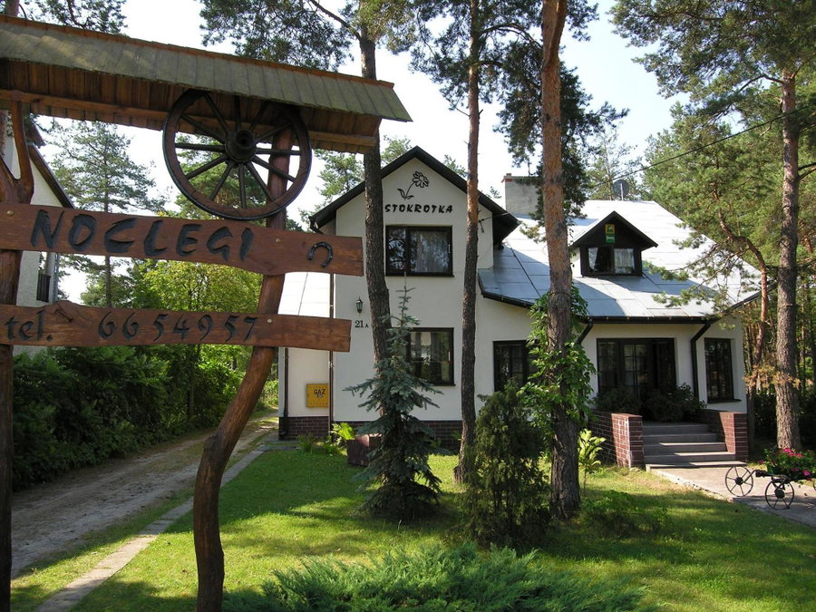 Stokrotka, Susiec, Poland