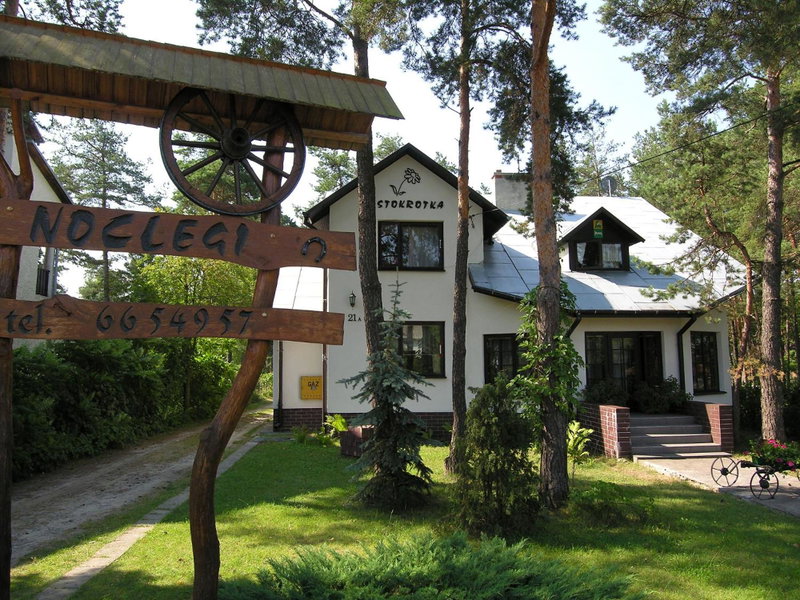 Stokrotka, Susiec, Poland