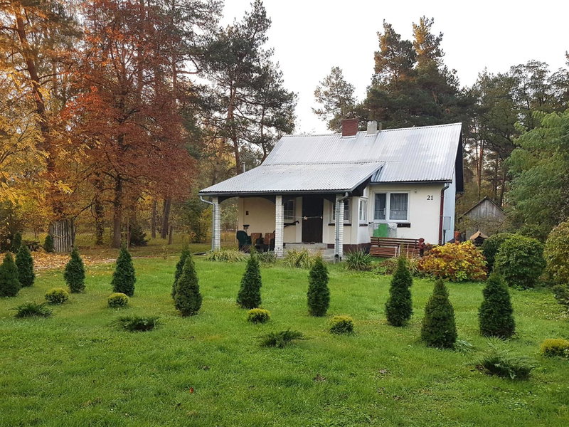 Stokrotka, Susiec, Poland