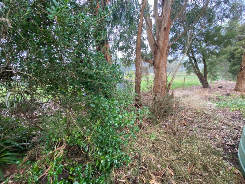 Richo’s Retreat, 1 bed unit near Great Ocean Road, Cobden, Australia