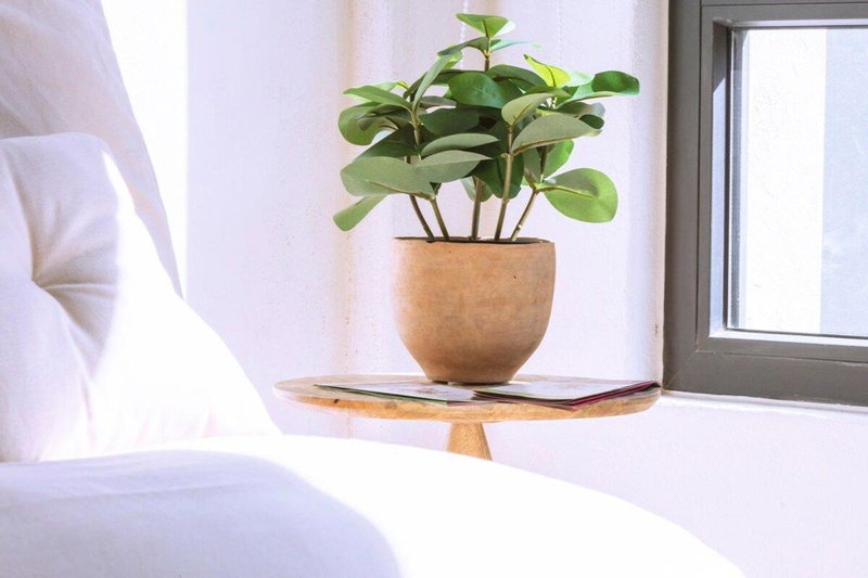 Exclusivo loft a pasos del Zócalo No lo pierdas, Mexico City, Mexico