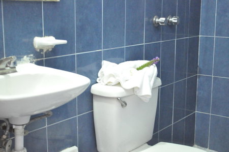 Hotel Viena, Irapuato, Mexico