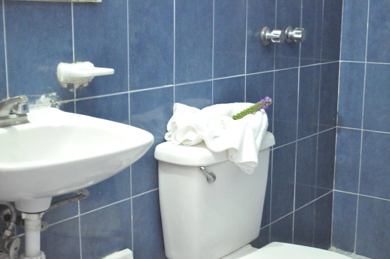 Hotel Viena, Irapuato, Mexico