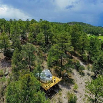 Wooden Inn - Cabañas Boutique y Bubble Glamping en Creel, Creel, Mexico
