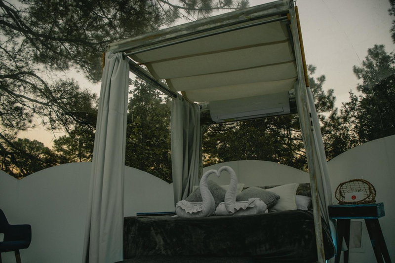 Wooden Inn - Cabañas Boutique y Bubble Glamping en Creel, Creel, Mexico