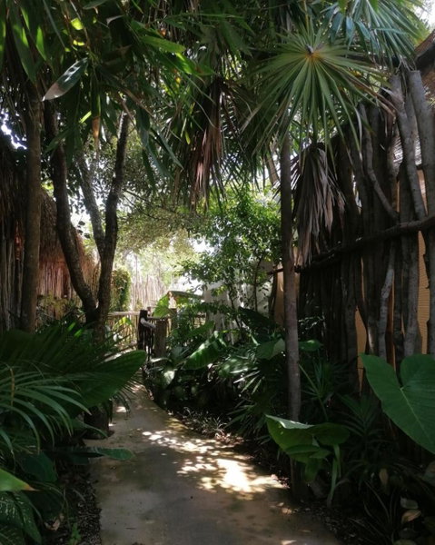 Cozy room near the beach, party zone, Tulum, Mexico