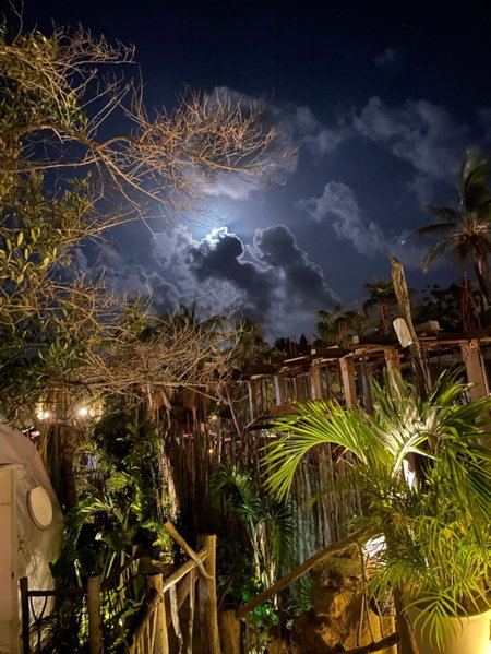 Cozy room near the beach, party zone, Tulum, Mexico