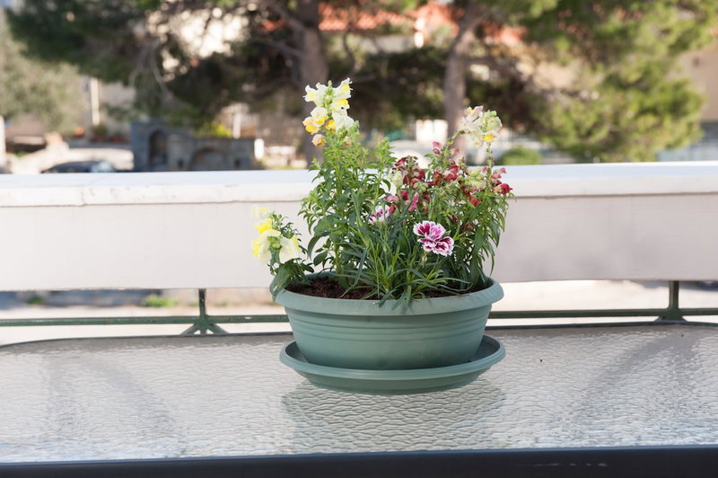 Dialinas Apartments, Agios Nikolaos, Greece