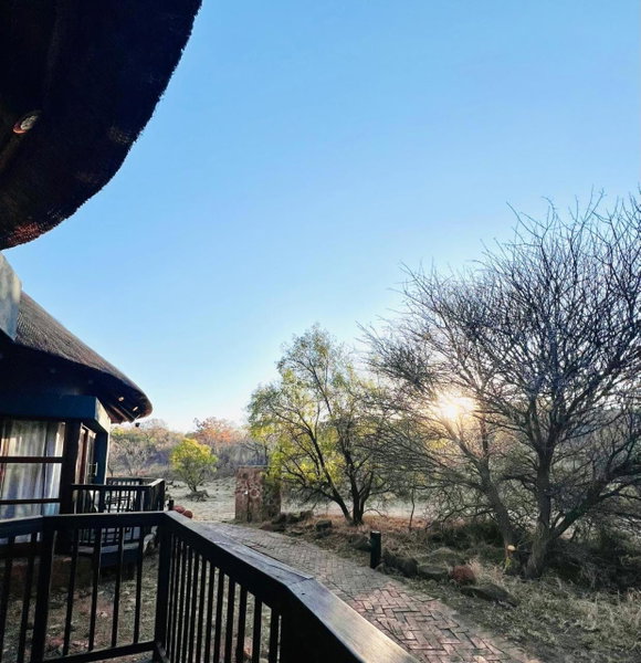 Milkwood Safari Lodge, Warmbaths, South Africa