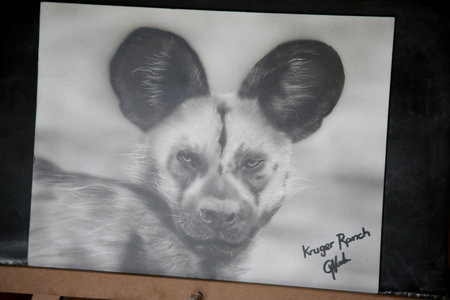 Kruger Ranch, Magaliesburg, South Africa