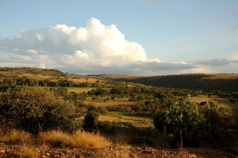 Kruger Ranch, Magaliesburg, South Africa