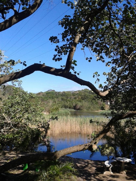 Dieu Donnee River Lodge, Port Shepstone, South Africa
