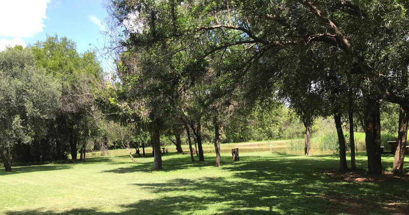 Tamboti Bush Lodge, Dinokeng Game Reserve, South Africa
