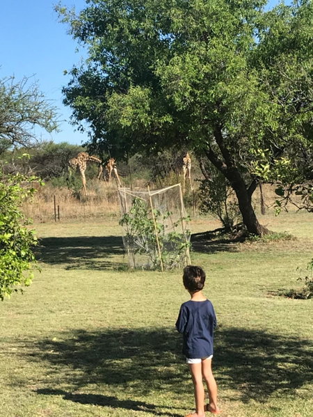 Tamboti Bush Lodge, Dinokeng Game Reserve, South Africa