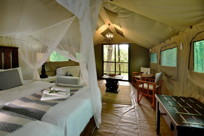 Kruger Safari Lodge, Manyeleti Game Reserve, South Africa