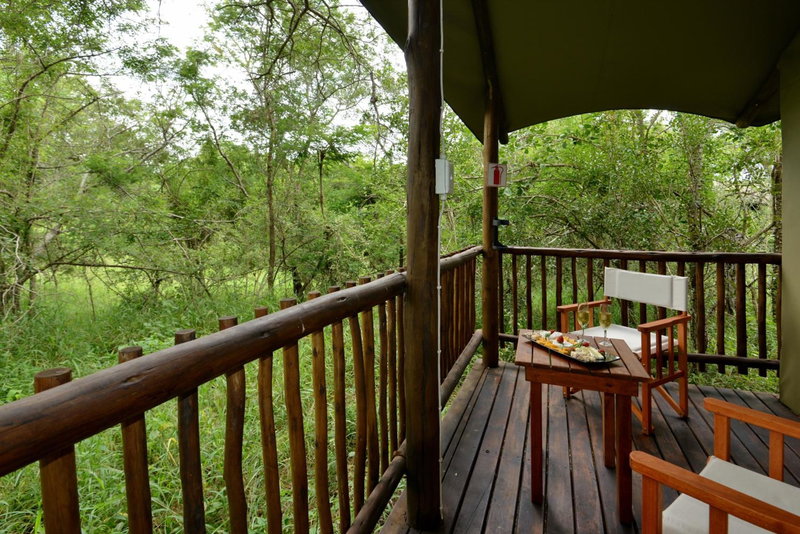 Kruger Safari Lodge, Manyeleti Game Reserve, South Africa