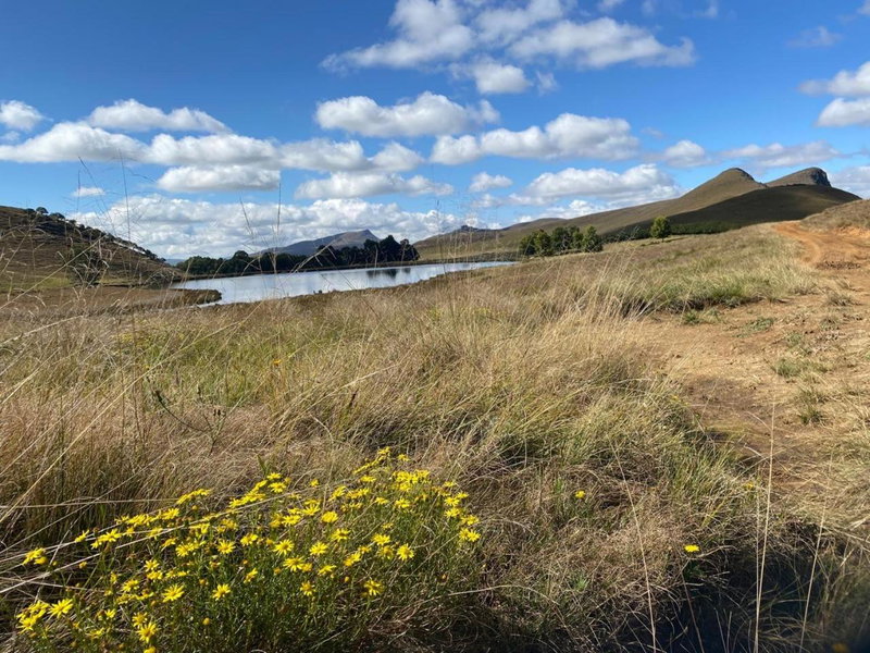 Pear Tree Cottage-Underberg, Underberg, South Africa