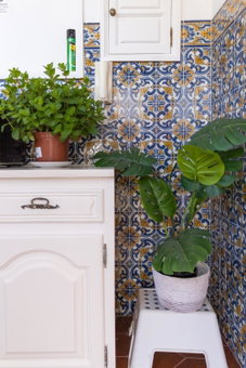 Douro Garden - Authentic Portuguese Guesthouse, Vila Nova de Gaia, Portugal