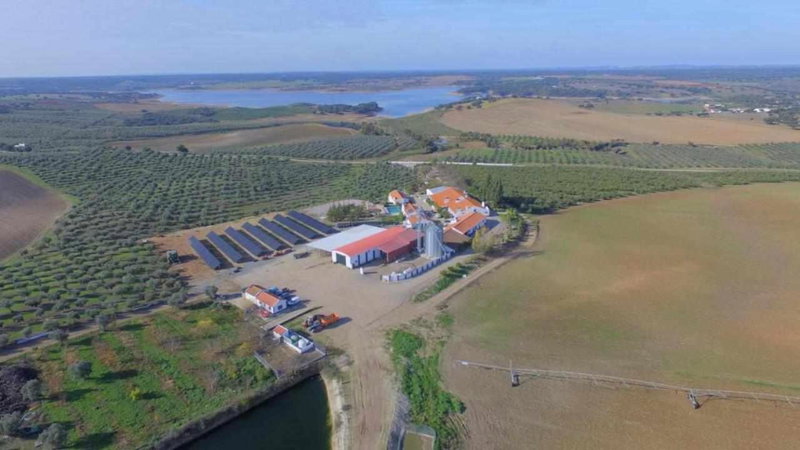 Herdade da Fonte Ferreira, Avis, Portugal