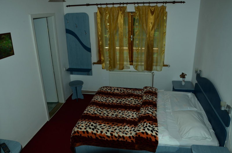 Pension Roni, Buşteni, Romania