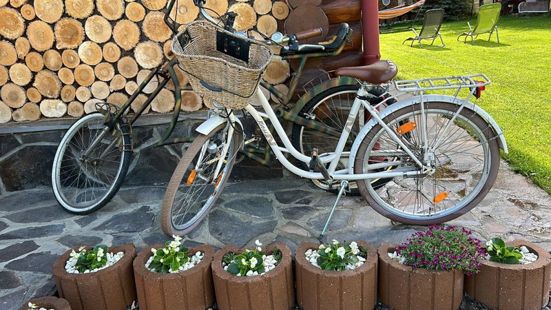 Cabana Rustic Bran, Bran, Romania