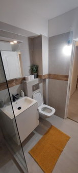 University Apt, Baia Mare, Romania