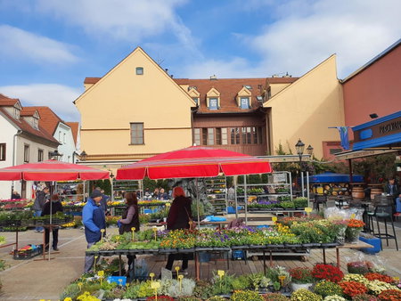 Dolac Guesthouse, Zagreb, Croatia