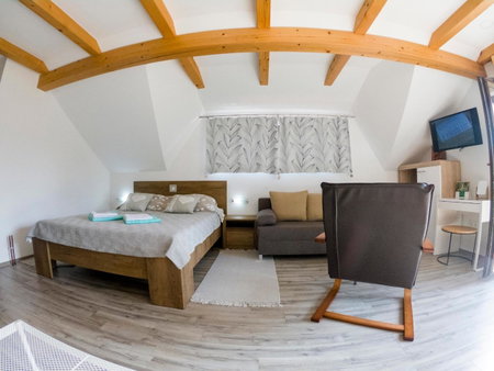 Studio Apartment Karlo, Drežnik Grad, Croatia