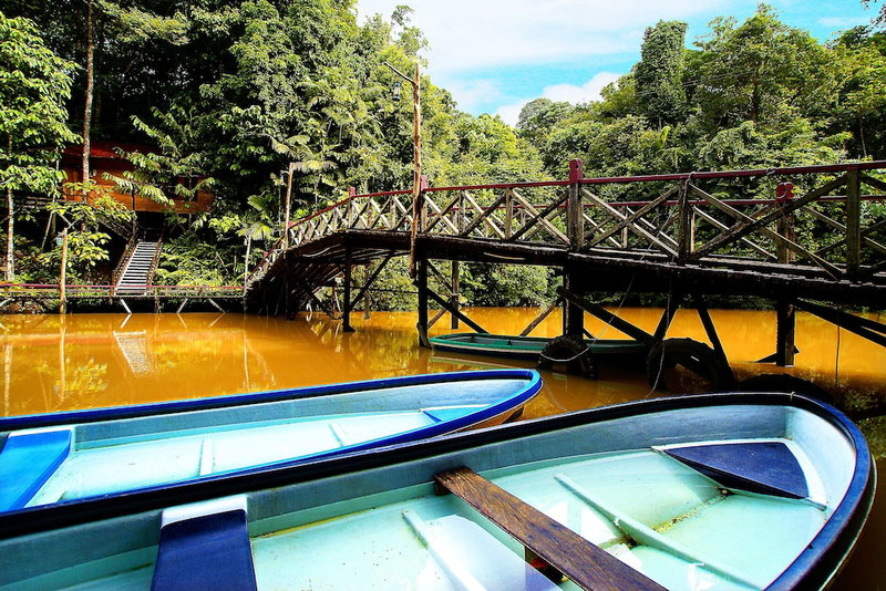 Borneo Tropical Rainforest Resort, Miri, Malaysia