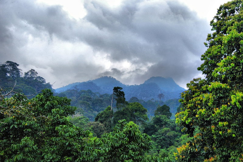 Borneo Tropical Rainforest Resort, Miri, Malaysia