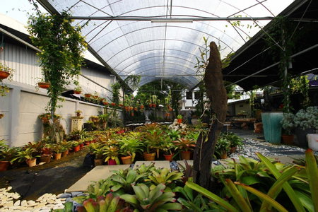 The Green Cottage, Kuching, Malaysia