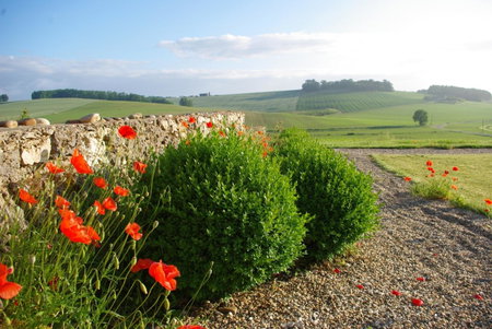 Le Hameau des Coquelicots, Damazan, France