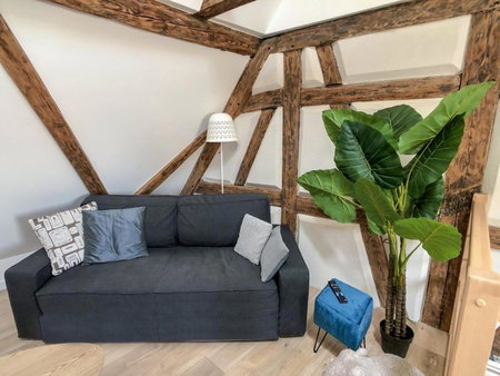 Beauty & The Beast - Old Town Cosy Apartments, Colmar, France