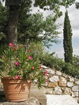 Le Relais Des Chartreuses, Le Boulou, France