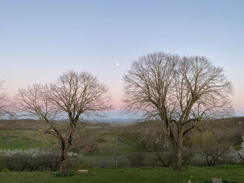 Aux Coteaux D'aussac, L'Honor-de-Cos, France
