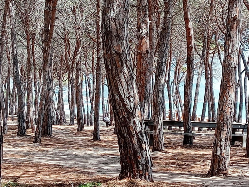 Locanda D'Ogliastra, Triei, Italy