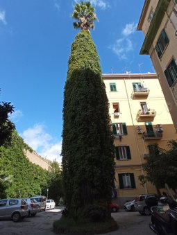 Non ci resta che Napoli, Naples, Italy