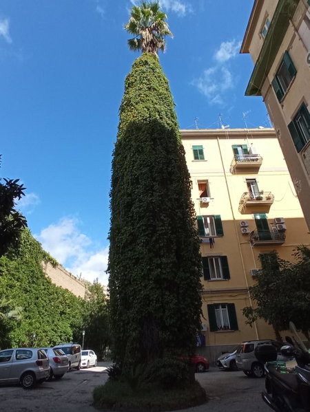 Non ci resta che Napoli, Naples, Italy