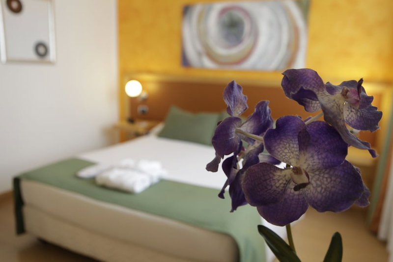 ibis Styles Roma Vintage Hotel, Rome, Italy