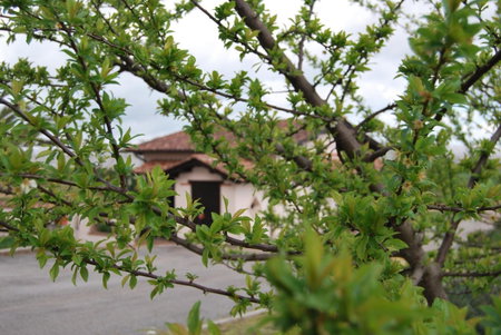Agriturismo Torre Cristina, Aprilia, Italy