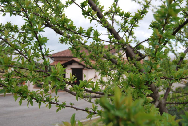 Agriturismo Torre Cristina, Aprilia, Italy