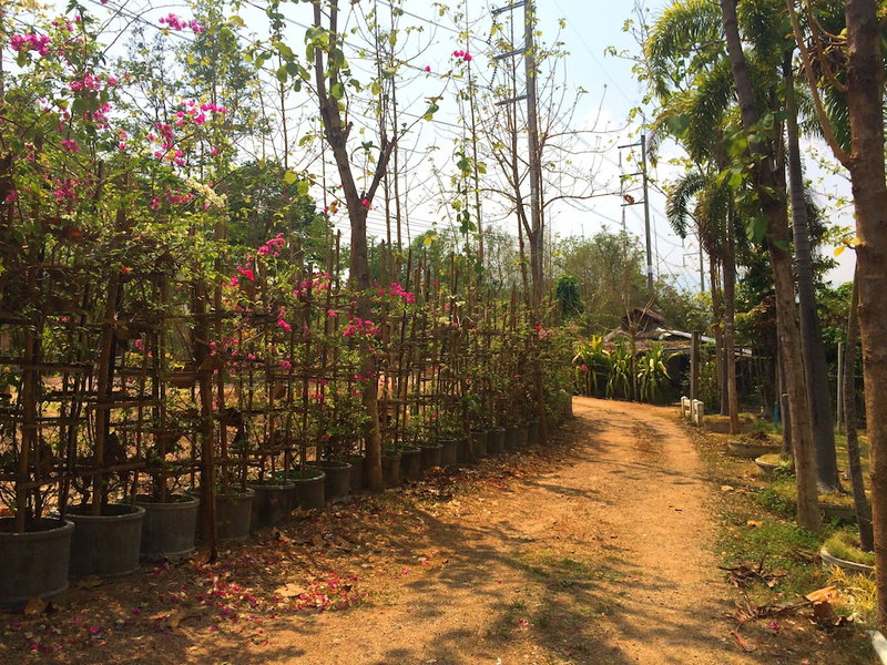 Montri Garden House, Pai, Thailand