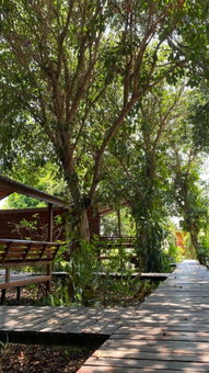 Romyen House, Ban Nong Nam Khan, Thailand