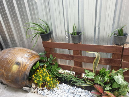 TP home, Bangkok, Thailand