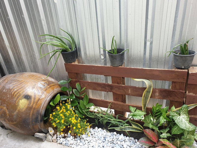 TP home, Bangkok, Thailand